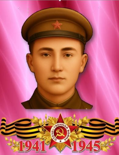 Мирошниченко Ефим Дмитриевич