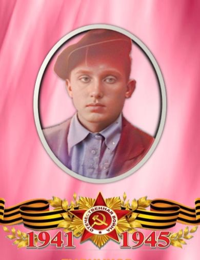 Будников Михаил Федотович