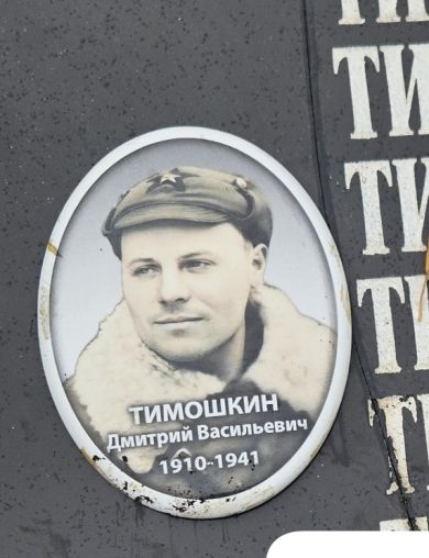 Тимошкин Дмитрий Васильевич