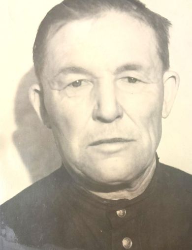 Полянский Владимир Гаврилович