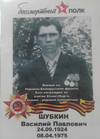 Шубкин Василий Павлович