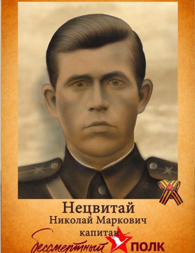 Нецвитай Николай Маркович