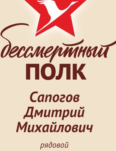 Сапогов Дмитрий Михайлович