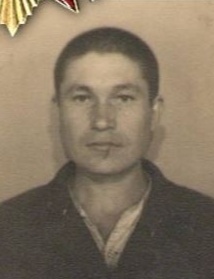 Инсаркин Григорий Яковлевич