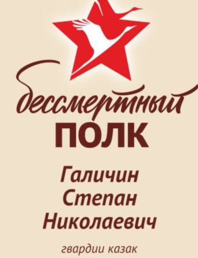 Галичин Степан Николаевич