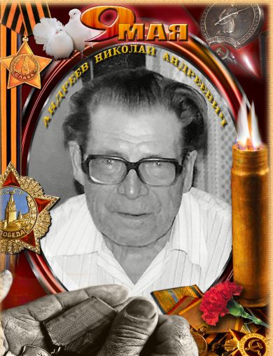 Андреев Николай Николаевич