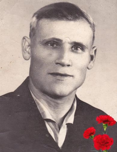 Плотников Николай Григорьевич