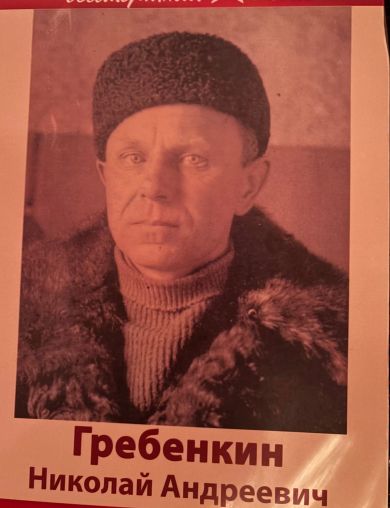 Гребенкин Николай Андреевич