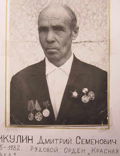 Никулин Дмитрий Семенович