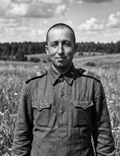 Птицин Всеволод Арсентьевич