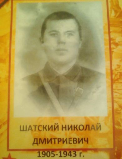 Шатский Николай Дмитриевич