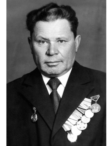 Венгеров Александр Андреевич