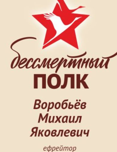 Воробьёв Михаил Яковлевич