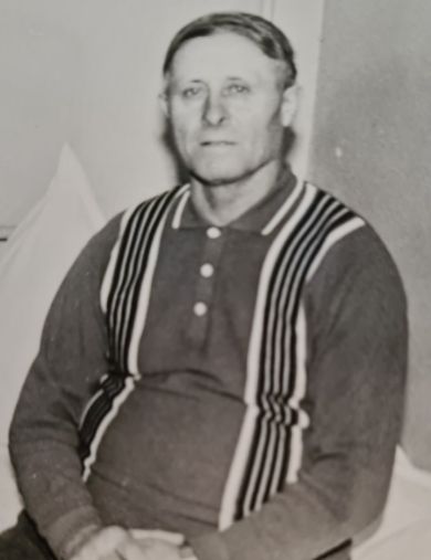 Политика Дмитрий Алексеевич