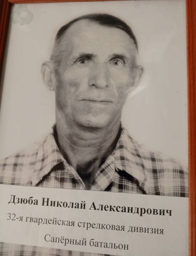 Дзюба Николай Александрович