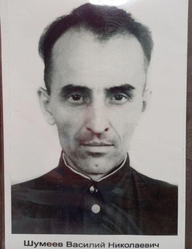 Шумеев Василий Николаевич
