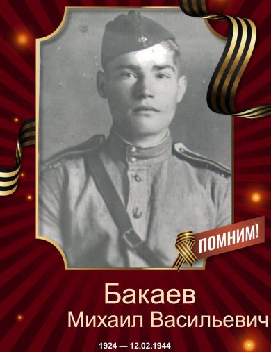 Бакаев Михаил Васильевич