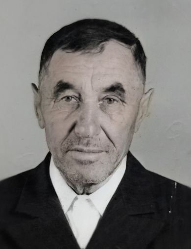 Лёзин Михаил Емельянович