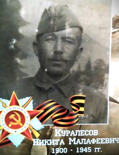 Куралесов Никита Малофеевич