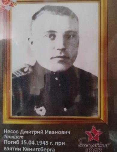 Несов Дмитрий Иванович
