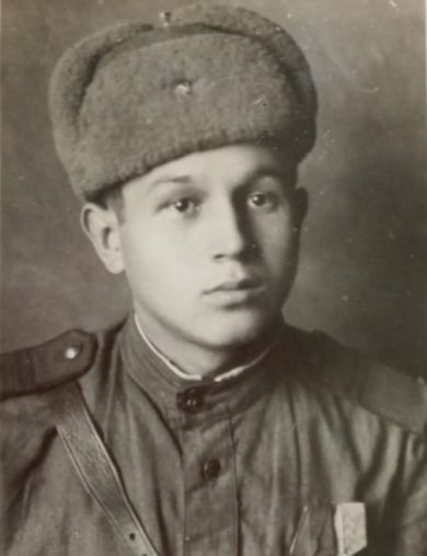Амерханов Шариф Махмутович
