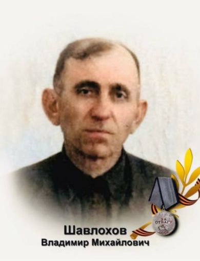 Шавлохов Владимир Михайлович