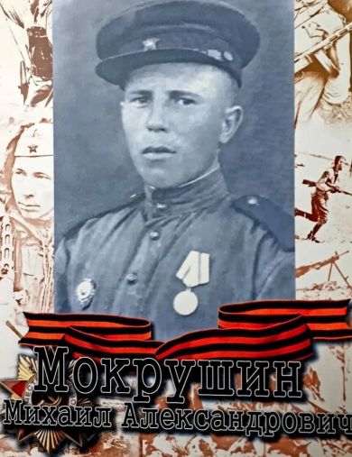 Мокрушин Михаил Александрович