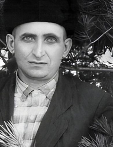 Вишняк Владимир Давидович