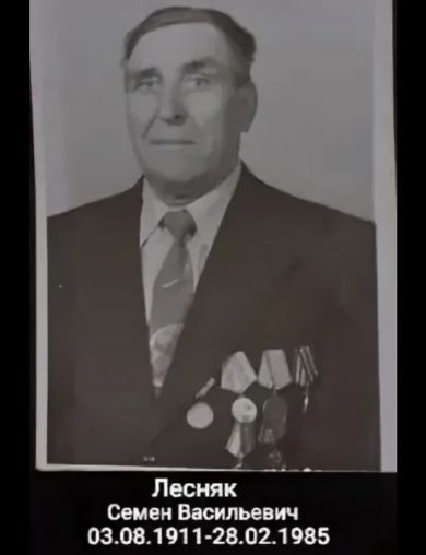 Лесняк Семен Васильевич