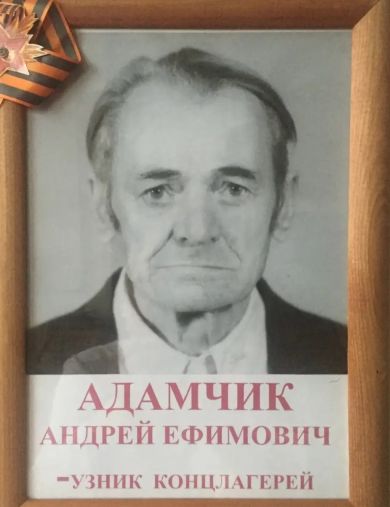 Адамчик Андрей Ефимович