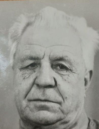 Австрийский Анатолий Васильевич
