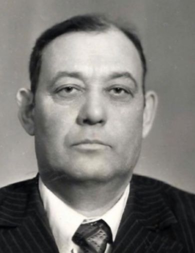 Никитин Николай Гаврилович