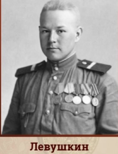 Левушкин Михаил Александрович