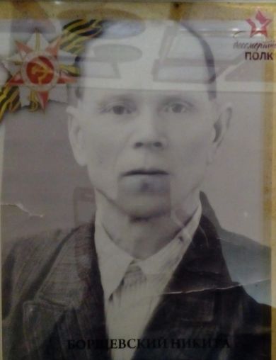 Боршевский Никита Андреевич