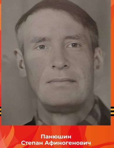 Панюшин Степан Афиногенович