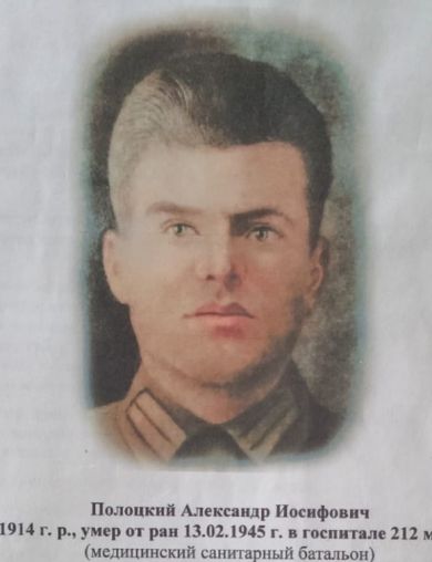 Полоцкий Александр Иосифович