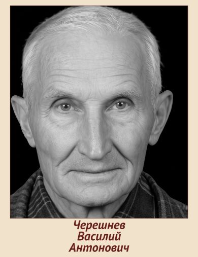 Черешнев Василий Антонович