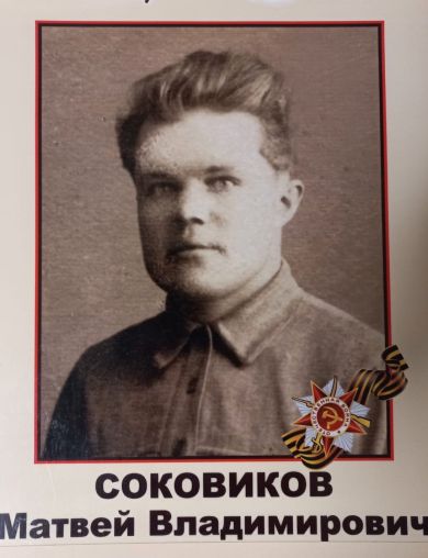 Соковиков Матвей Владимирович