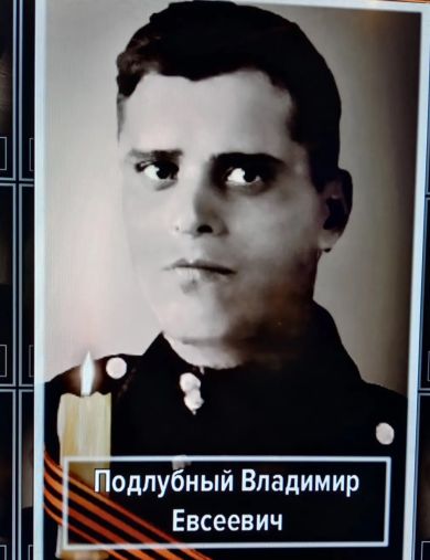 Подлубный Владимир Евсеевич