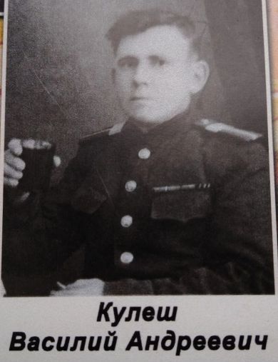 Кулеш Василий Андреевич