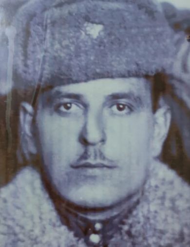 Мамисашвили Степан Дарчоевич