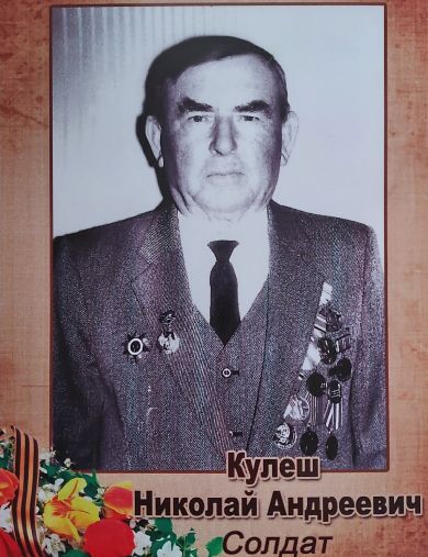 Кулеш Николай Андреевич