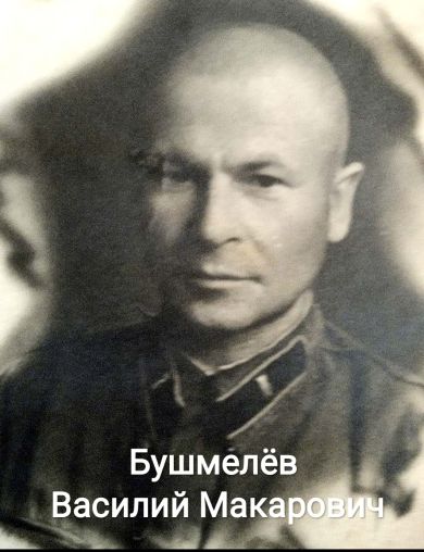 Бушмелёв Василий Макарович