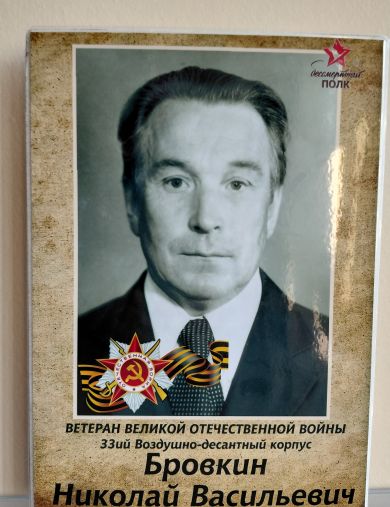 Бровкин Николай Васильевич