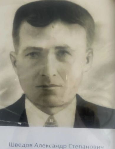 Шведов Александр Степанович