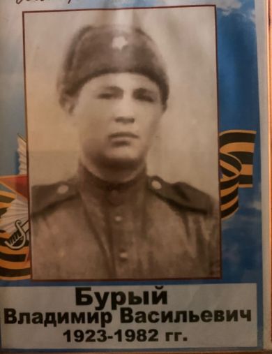 Бурый Владимир Васильевич