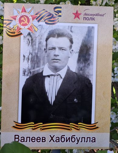 Валеев Хабибулла 