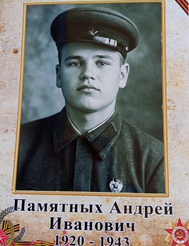 Памятных Андрей Иванович