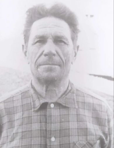 Домнин Степан Сергеевич