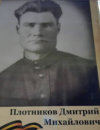 Плотников Дмитрий Михайлович